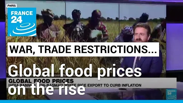 Global food prices on the rise as Russia ends grain deal, India bans rice • FRANCE 24 English - DayDayNews