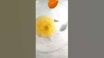 Đỉnh cao cá lăng om chuối đậu #shorts