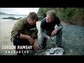 Exploring Unique Fish Cooking Techniques in New Zealand | Gordon Ramsay: Uncharted