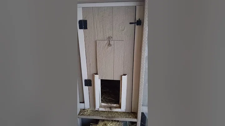 Covered Chicken Run Build under $800
