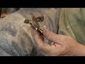 Wood Carving: Carving a Hummingbird