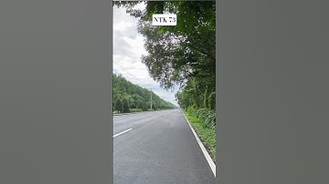 Đường Rừng Sác Cần Giờ #bolerohay #tamtrangcuocsong #nhachaymoingay