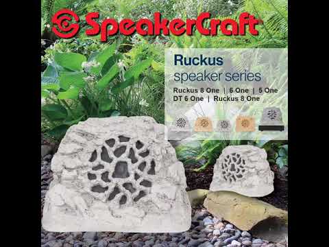 Speakercraft Vid