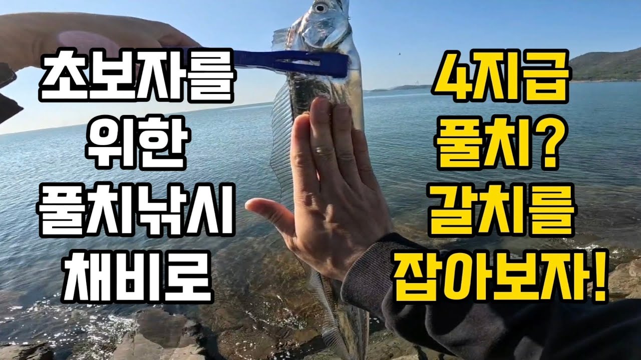초보자도 할 수 있는 4가지 채비로 4지급 풀치!? 갈치를 잡아보자! 새만금 풀치낚시, 새만금33센터 풀치낚시