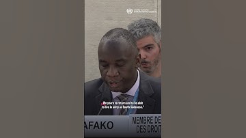 South Sudan is Desperate for Peace - UN Expert