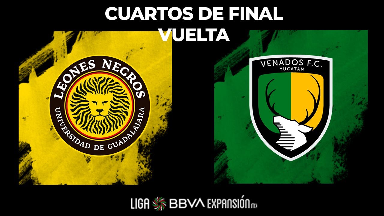 Resumen | Leones Negros vs Venados | Cuartos De Final Vuelta - Apertura  2022 -Liga BBVA Expansión MX - YouTube