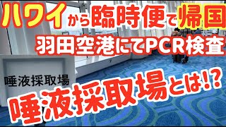 【ハワイから臨時便で帰国 / PCR検査 / 4K】 羽田空港にてPCR検査を受ける。JALによる臨時便。 唾液採取場。 ホノルル発羽田行き。