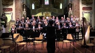 Video thumbnail of "Marco Frisina - Salve o dolce Vergine / Katia Natalini / coro amatoriale del Santuario / 28.03.2016"