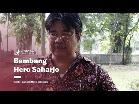 Bambang 'Hero' Saharjo: Saksi Ahli yang Menentang Perusahaan Perkebuanan Penyebab Karhutla