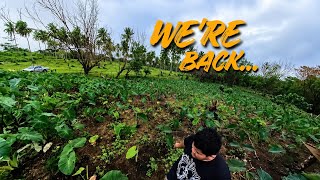 AFTER MONTHS AWAY.....This is what happened!!!