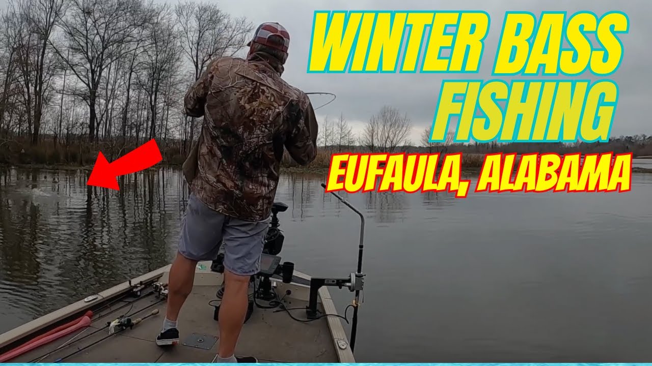 Fun Bass Fishing Lake Eufaula, Alabama 🎣