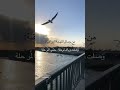 حالات واتساب ستوري انستا شعر نهر دجله 