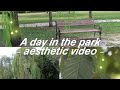    a day in the park    