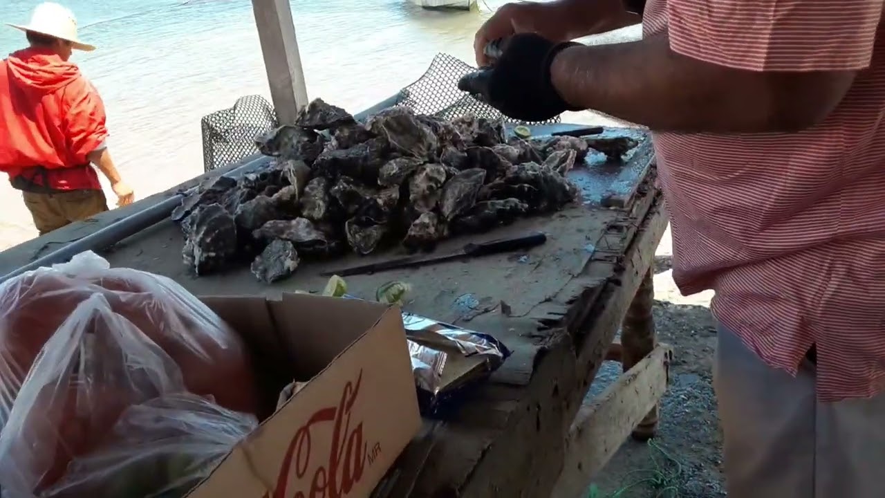 La ostionera Baia Falsa de San Quintin B.C. México 