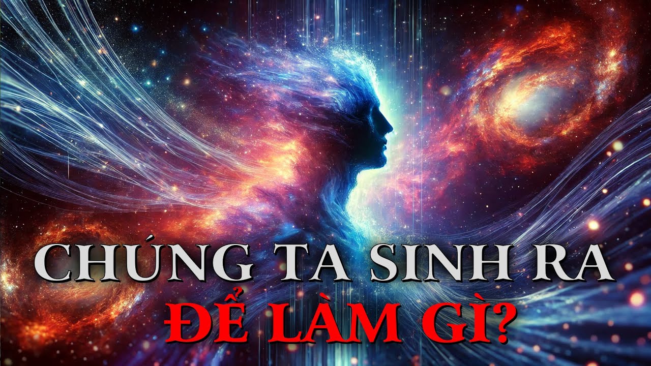 Outline Video Con Người Sinh Ra Để Làm Gì? | 5 Bài Học Phật Giáo Được Khoa Học Chứng Minh