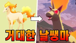 포켓몬스터 3.4m 거대한 날쌩마 ㅋㅋㅋㅋㅋ