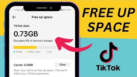 How to FREE UP SPACE on Phone | Delete TikTok Data