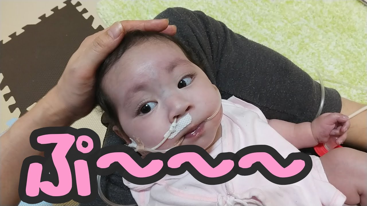 かりんの先天性心疾患まとめ ハートのかりん Karin S Heart Journey