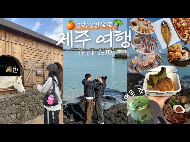 나.. 외 제주도를 안 갔어..?🍊제주도에 반해서 온 여행브이로그 | 동쪽 여행코스 추천 | 구좌읍 로컬맛집 | 차크닉 스팟🚘 | 미리크리스마스 | 귤따기 체험 | 시장 구경