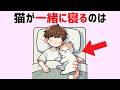 猫好き必見【猫の雑学15選】ネコの不思議な行動に隠された驚きの理由と秘密 #雑学 #豆知識 #トリビア