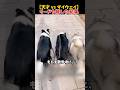 【天才 vs マイウェイ】リードを離した時の反応の差がリアルすぎるwww