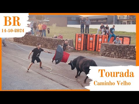 Tourada à corda, ilha Terceira, 14 de outubro de 2024