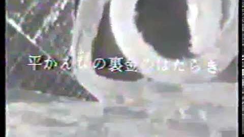 Educational Video on "Influence of the Cap-iron on Hand Plane."