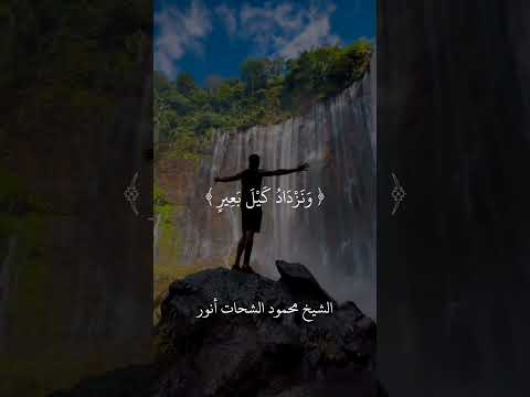 هذه بضاعتنا ردت إلينا اجمل ماقرأ الشيخ محمود الشحات أنور قران كريم قرآن الشيخ محمود شحات انور