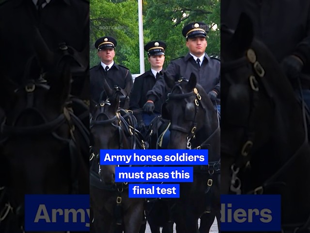 How the #USArmy tests horse soldiers before they ride at #Arlington. #military #horses #BootCamp