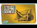Understanding the Encephalitis Lethargica and L-DOPA Story