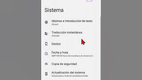 Como activar o desactivar la traducción instantánea  en Android 14 Pixel, Nexus etc