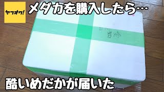 ヤフオクでメダカを購入したら酷いめだかが届いた【メダカ】