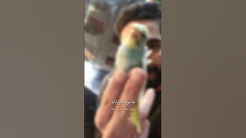 سورة الزلزلة برواية خلف عن حمزة🤍🌺بصوت العبد الفقير الي الله يحيى المش #قران_كريم #اكسبلور #مصر #لايك