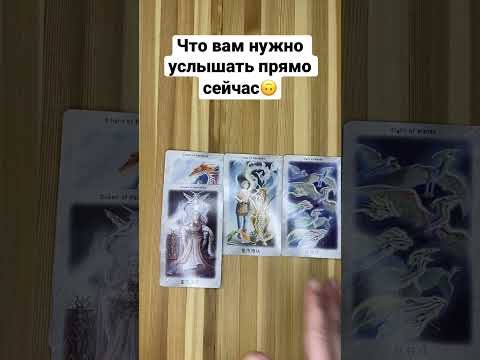 1001 Альбом Который Нужно Услышать Купить Книгу
