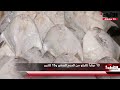 «ملك المائدة الكويتية» في سوق السمك.. كميات قليلة وأسعار عالية