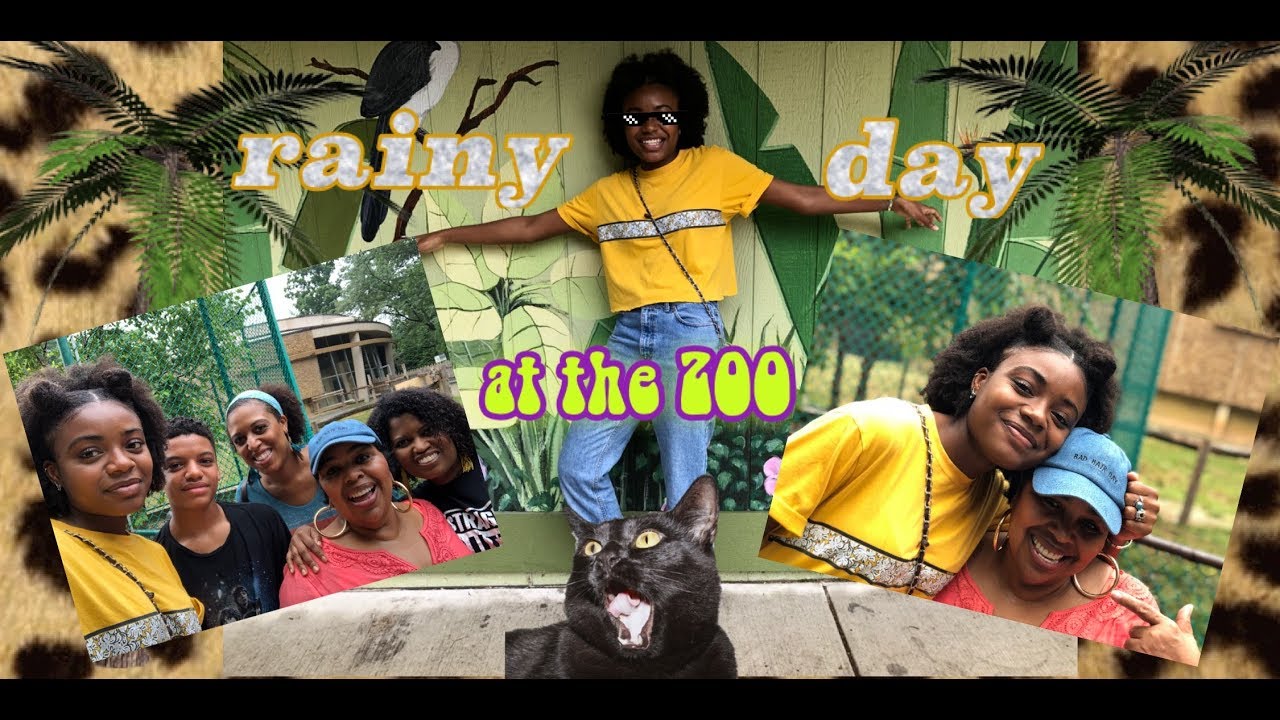 rainy day at the zoo vlog 2 BLOSSOM YouTube