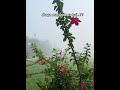 #jhapavlog #weather #summer #winter