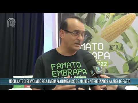 Pastagens: inoculante da Embrapa otimiza uso de adubos nitrogenados | Canal Rural