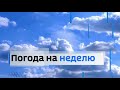 Заставка погода на неделю Россия один местное время моя версия(прошлая TVDR не понравилась)