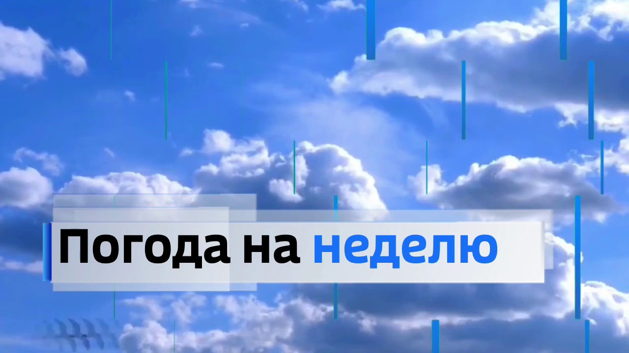 Через неделю в россии. Местное время заставка. Вести погода заставка. Вести погода Россия 1. Погода заставка.