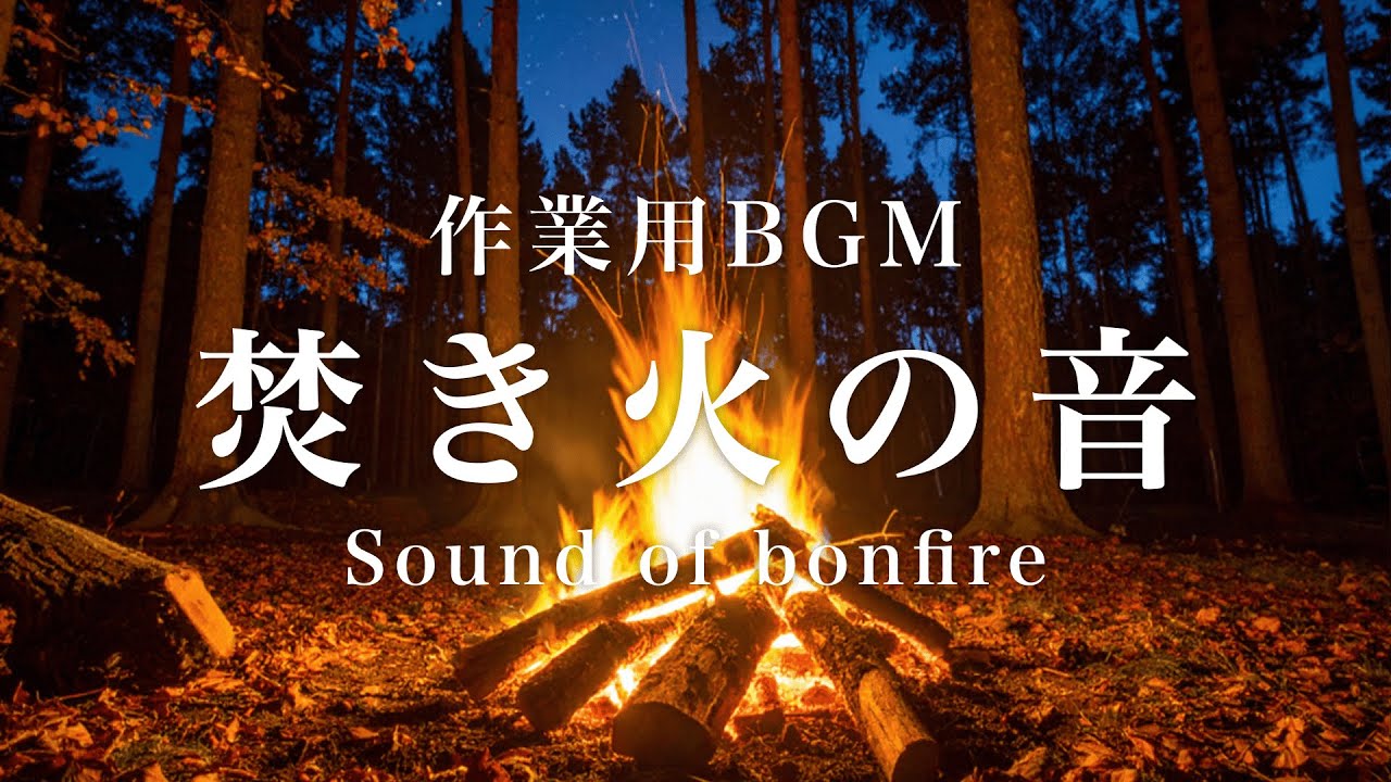 【ASMR】焚き火の音/火の音/生活音/森の音/自然音/CGアニメーション/1時間