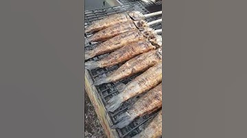 Hơn 3000 con cá lóc nướng mía xuyên đêm cho kịp ngày vía thần tài #calocnuong