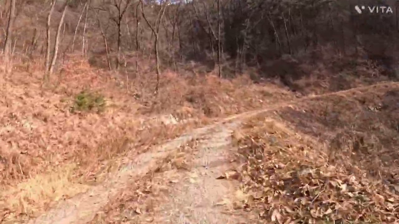 #사천#구암#임도#한바퀴#