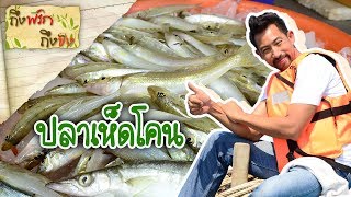 ปลาเห็ดโคน | ถึงพริกถึงขิง 08-03-19