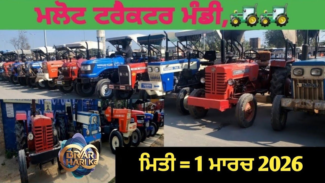 Malout tractor Mandi मलोट ट्रैक्टर बाजार ਮਲੋਟ ਟਰੈਕਟਰ ਮੰਡੀ #5911 #mogatractormandi