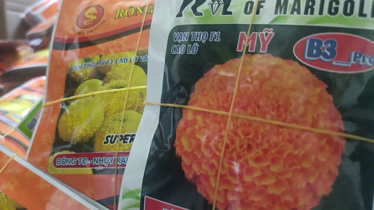 Vạn sự rồng vàng b2 B2PRO bên e về thêm hàng a c mua hàng alo e qua Zalo/đt  0343484000