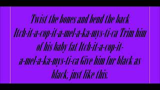 Hocus Pocus, Black Cat Curse Lyrics