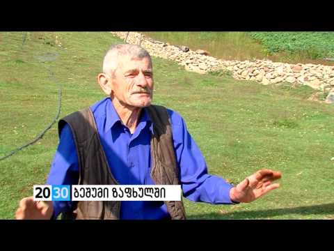ბეშუმი ზაფხულში /2030 (08.08.2016.)/