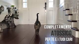 Sanificatore Per Ambienti