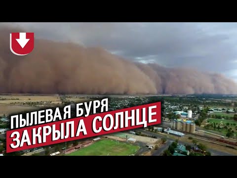 Огромное облако пыли закрыло солнце